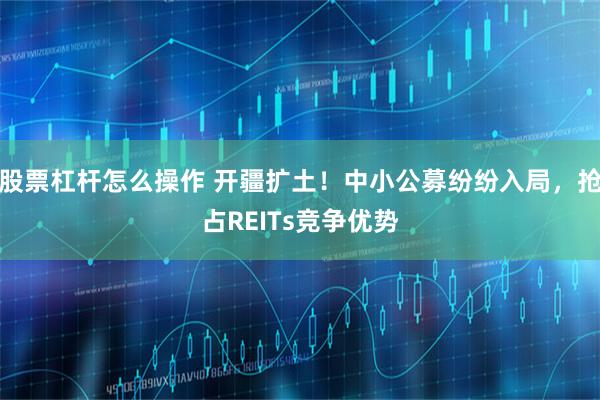 股票杠杆怎么操作 开疆扩土！中小公募纷纷入局，抢占REITs竞争优势