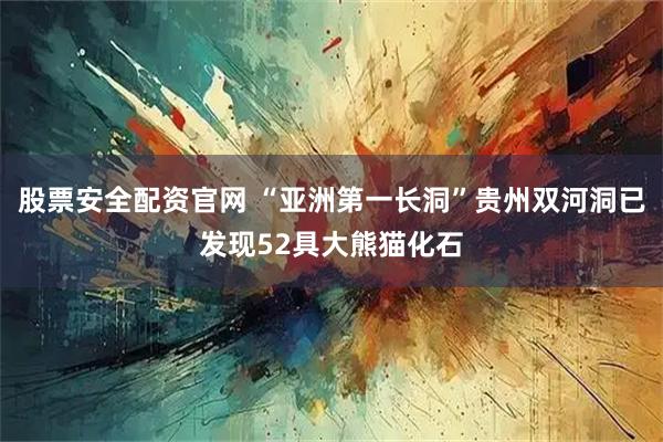 股票安全配资官网 “亚洲第一长洞”贵州双河洞已发现52具大熊猫化石