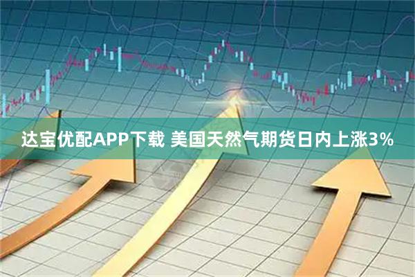 达宝优配APP下载 美国天然气期货日内上涨3%
